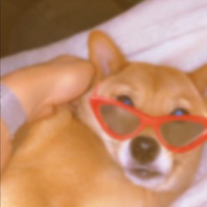 Meet your Posher, Claudette